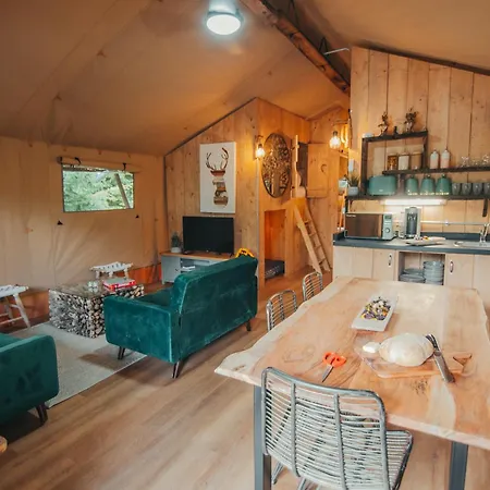 Cosy Forest Lodge Penrhos  Exterior foto