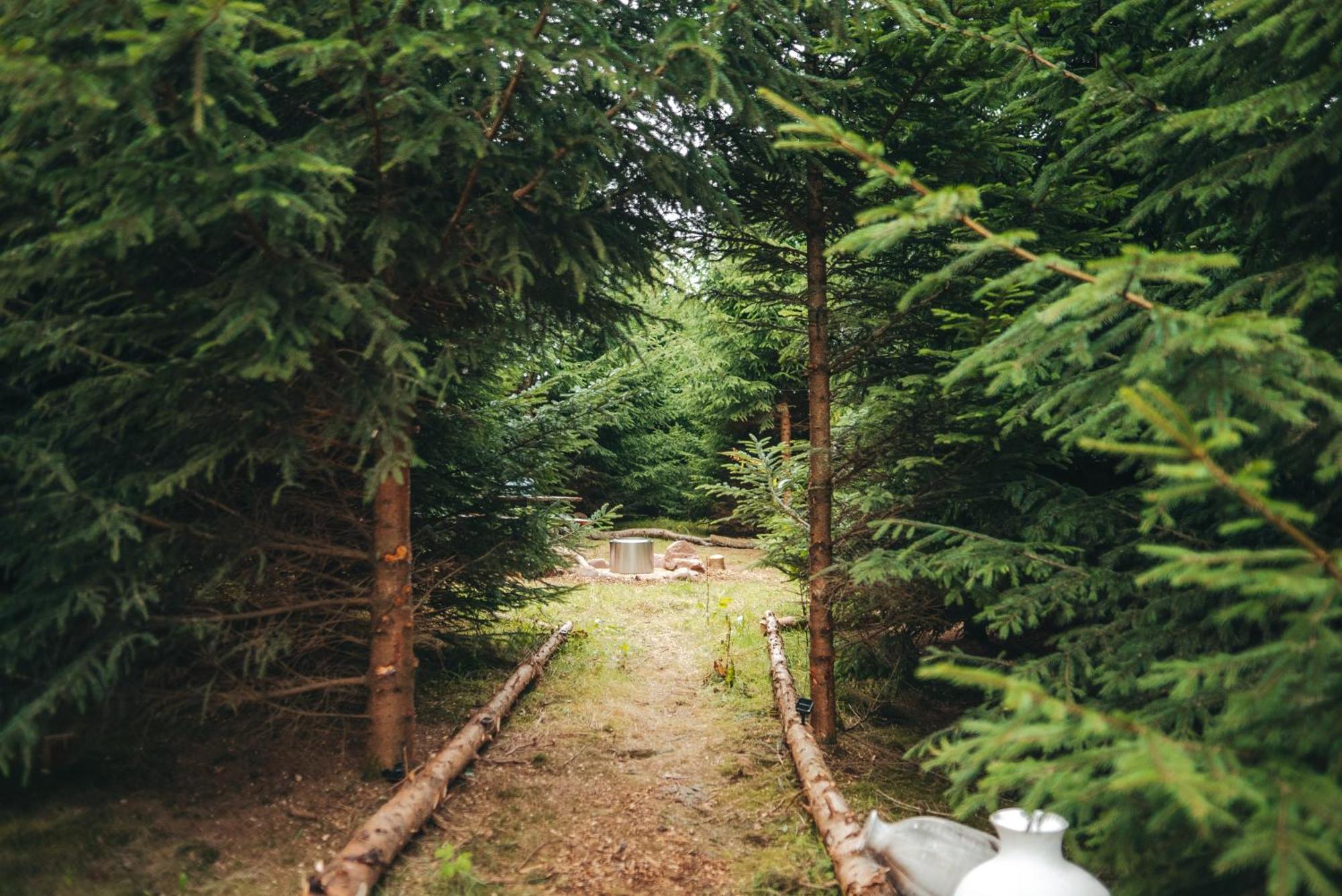 Luxuszelt Cosy Forest