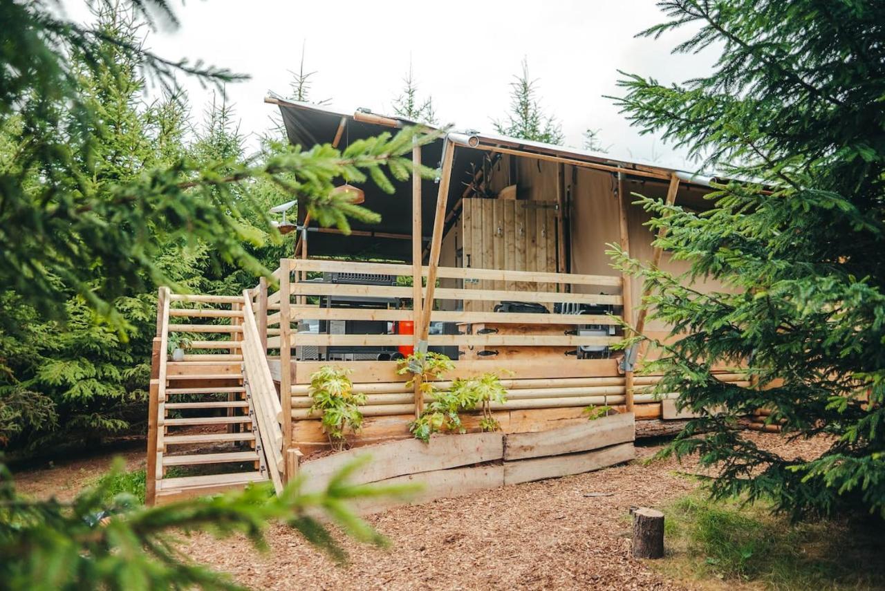 Cosy Forest Luxury tent