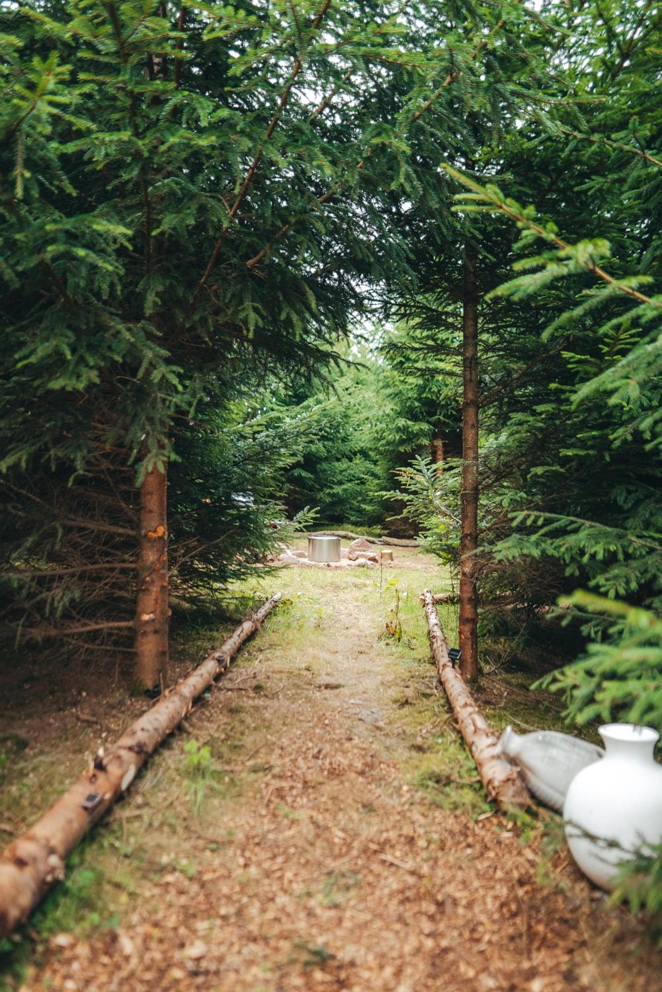 Luxury tent Cosy Forest