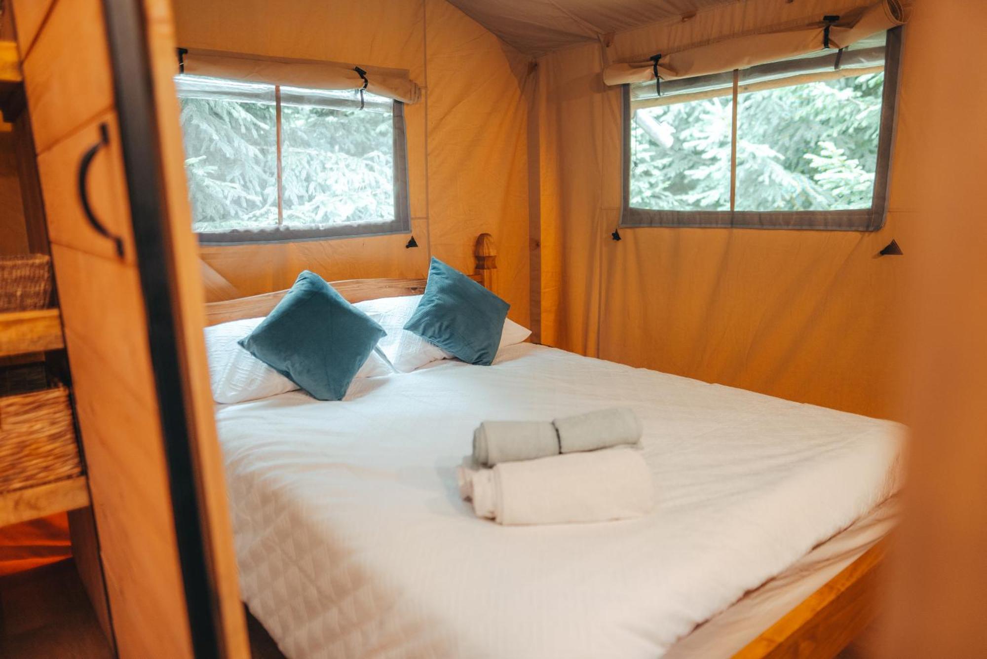 Cosy Forest